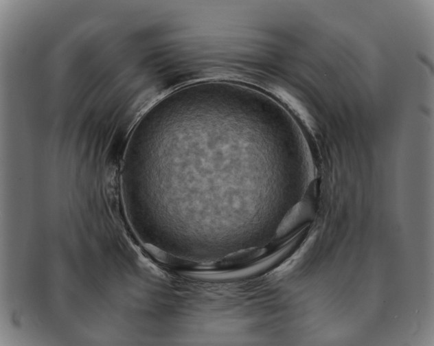 X0000091711001200708311112