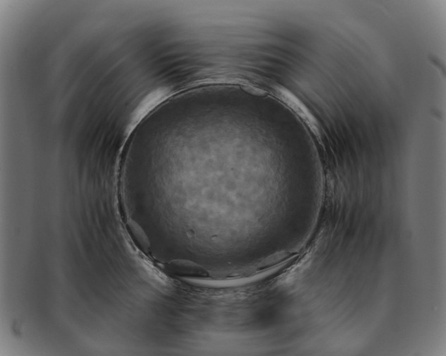 X0000091711002200708311112