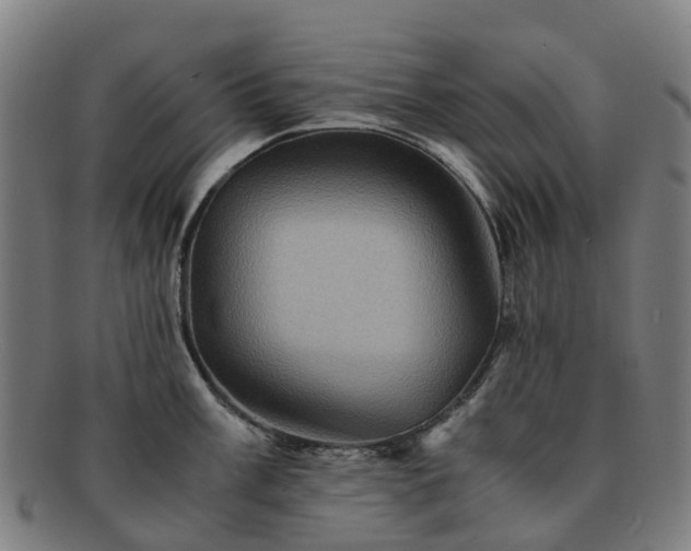 X0000091711003200708311112