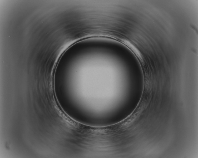 X0000091711004200708311112