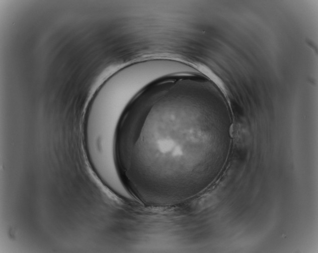 X0000091711005200708311112