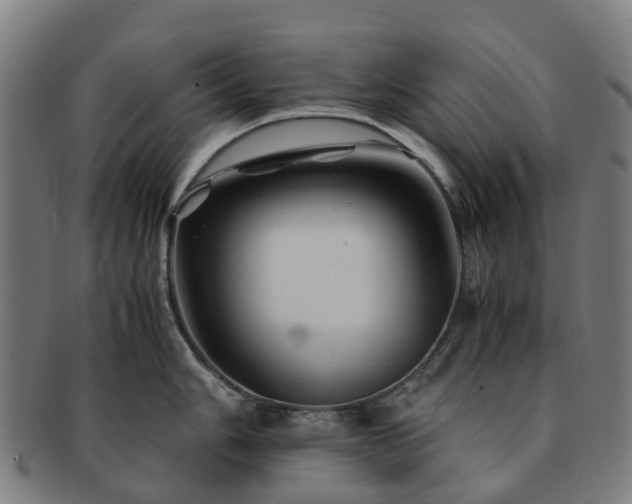 X0000091711006200708311112