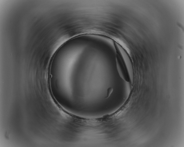 X0000091711007200708311112