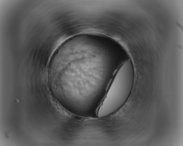 X0000091711008200708311112