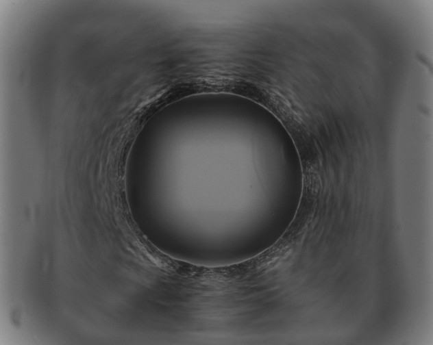 X0000091711009200708311111