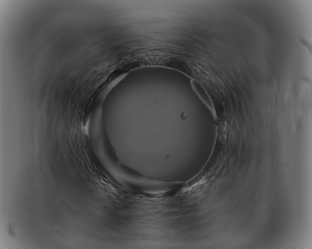 X0000091711010200708311111