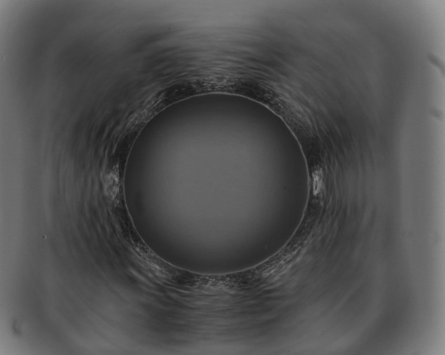 X0000091711011200708311111