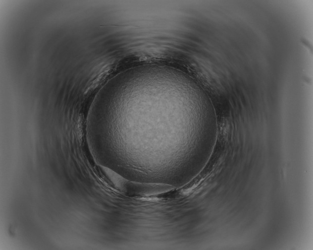 X0000091711012200708311111