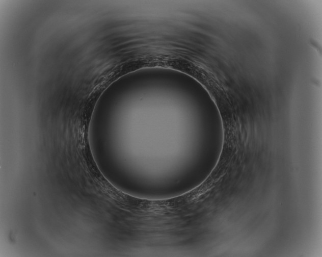 X0000091711013200708311111