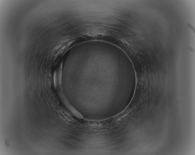 X0000091711014200708311111