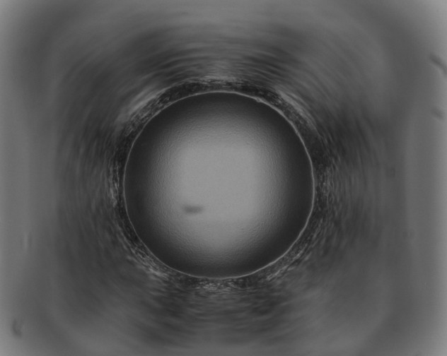 X0000091711015200708311111