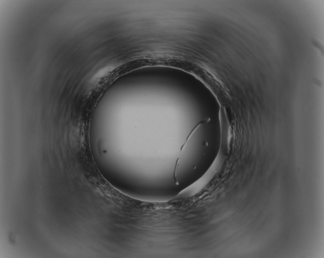 X0000091711016200708311111