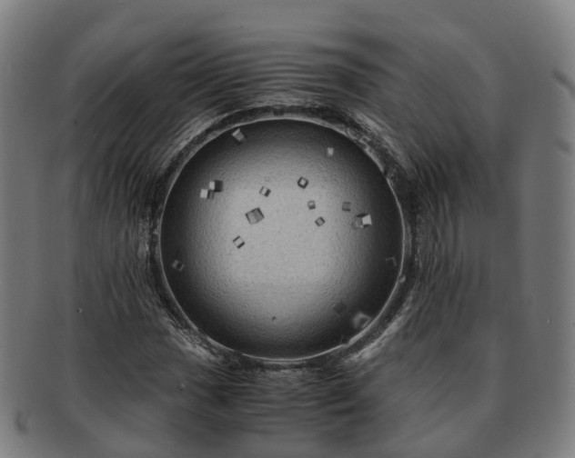 X0000091711017200708311111