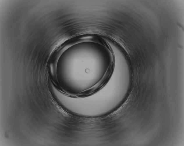 X0000091711018200708311111