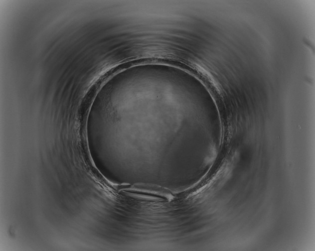 X0000091711019200708311111