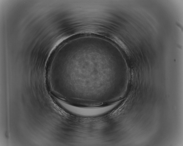 X0000091711020200708311111