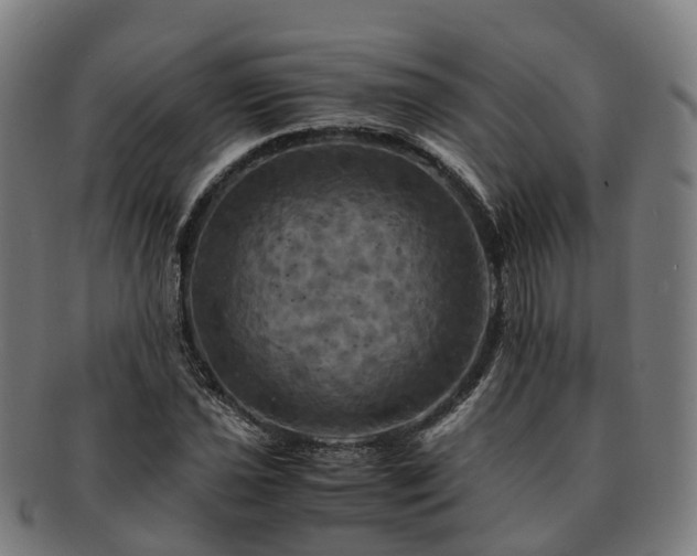 X0000091711021200708311111