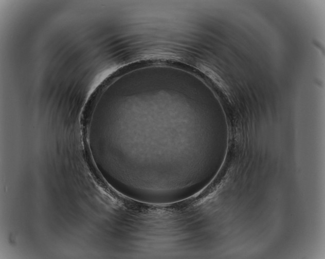 X0000091711022200708311111