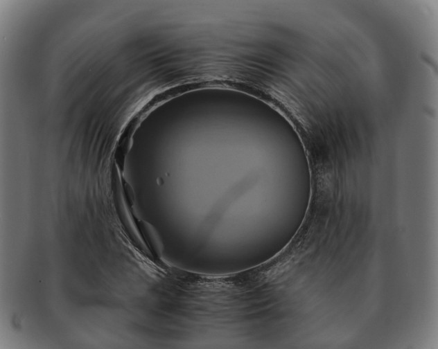 X0000091711023200708311111