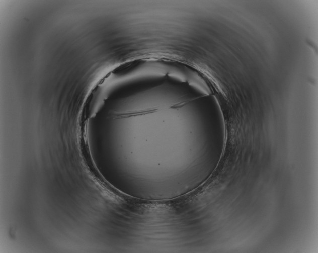 X0000091711024200708311111