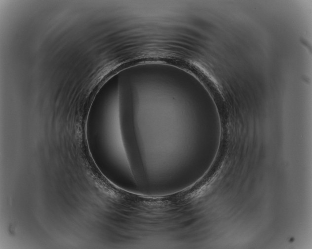 X0000091711025200708311111