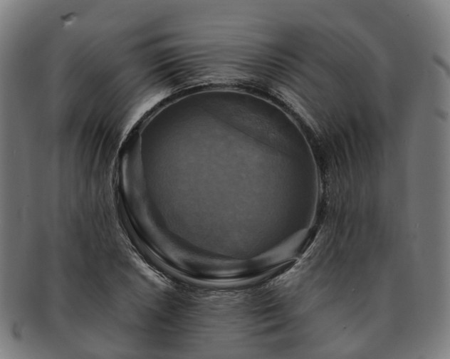 X0000091711026200708311111