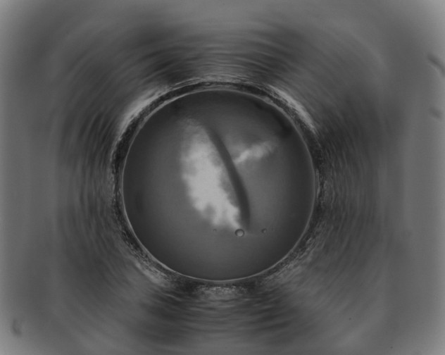 X0000091711027200708311111