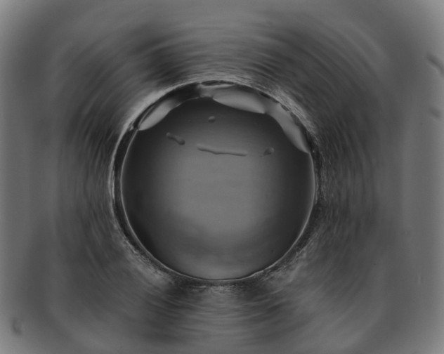 X0000091711028200708311111