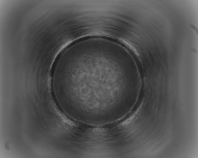 X0000091711029200708311111