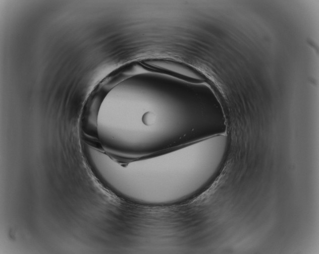 X0000091711030200708311111