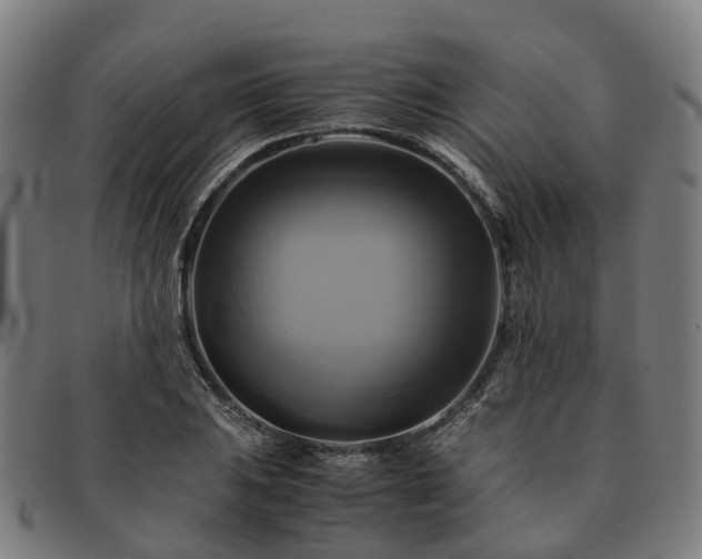 X0000091711031200708311111