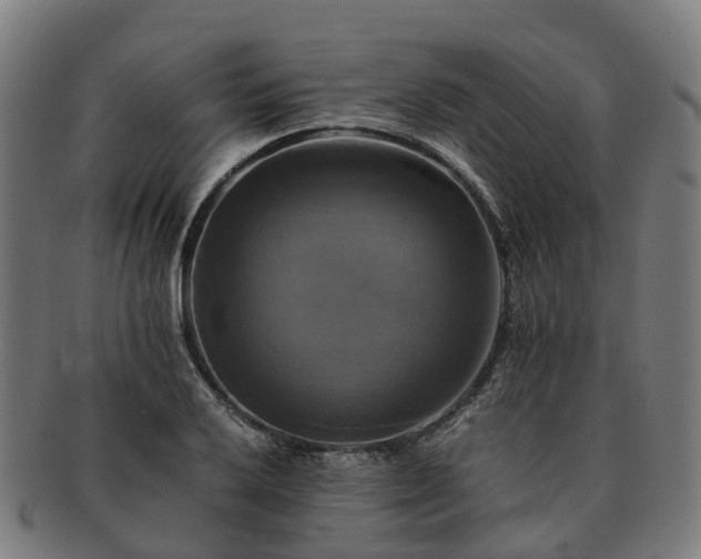 X0000091711032200708311111