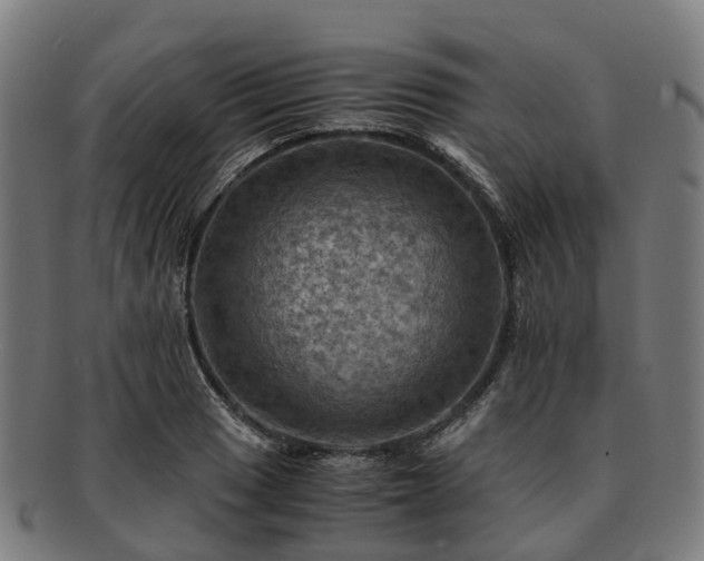 X0000091711033200708311111