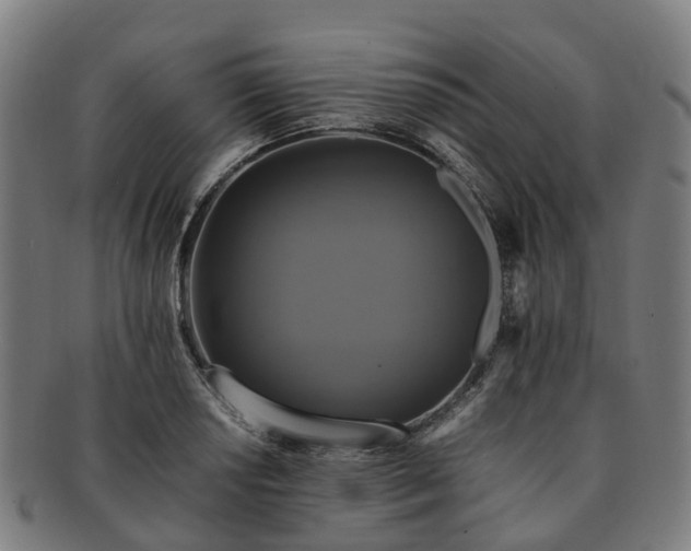 X0000091711034200708311111