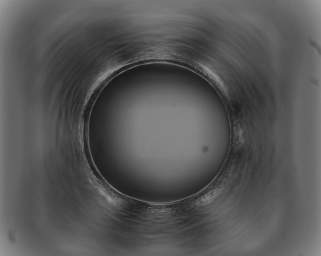 X0000091711035200708311111