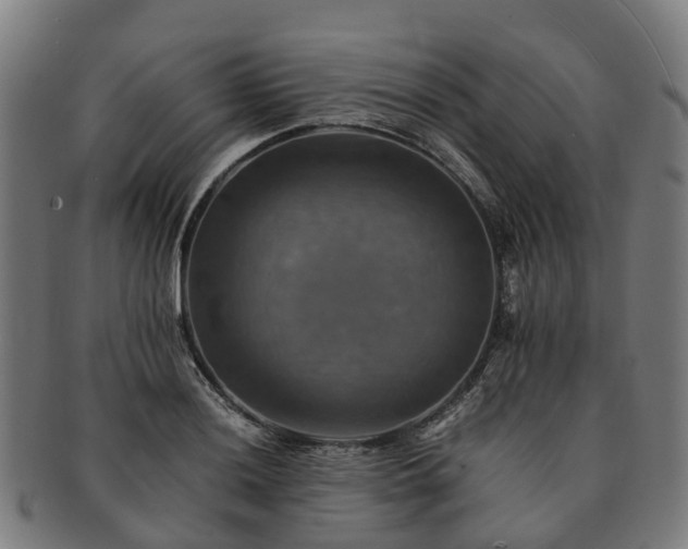 X0000091711036200708311111