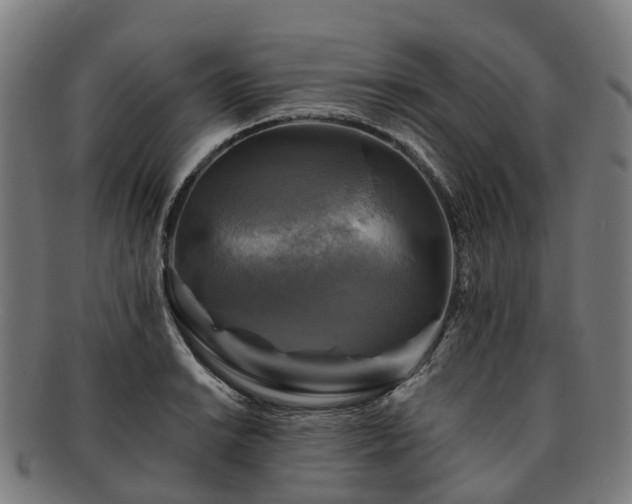 X0000091711038200708311111