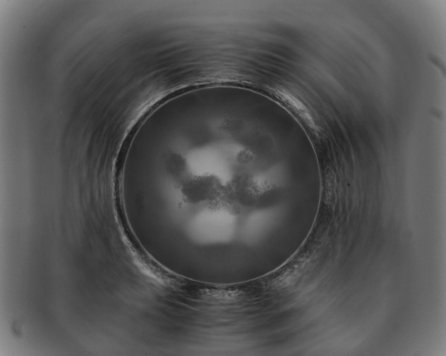 X0000091711039200708311111