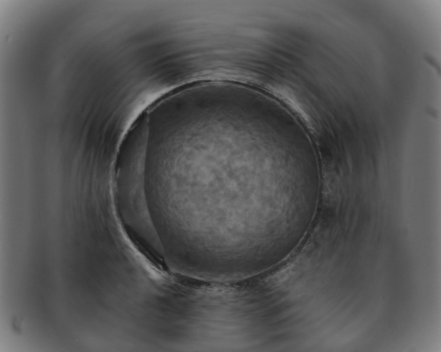 X0000091711040200708311111