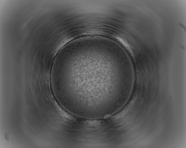 X0000091711041200708311111