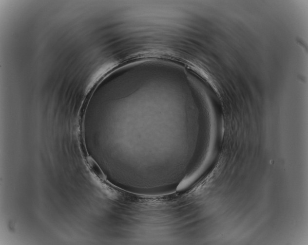 X0000091711042200708311111