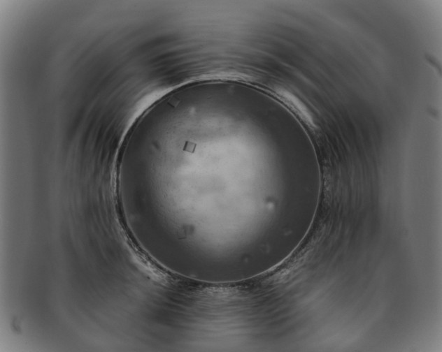 X0000091711044200708311111