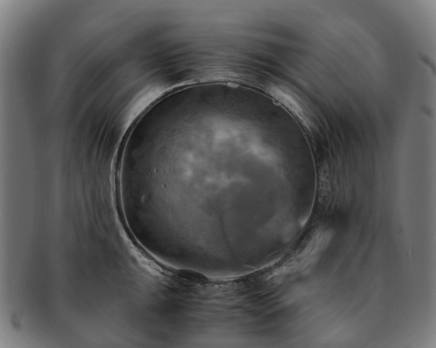 X0000091711047200708311112