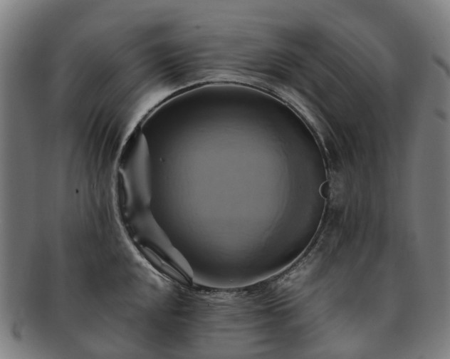 X0000091711048200708311112