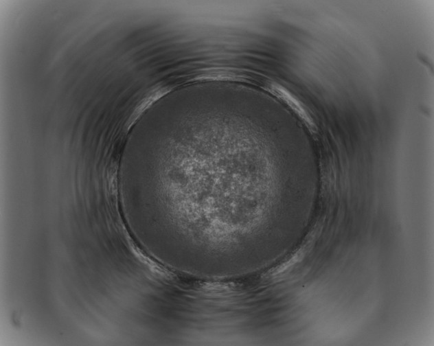 X0000091711049200708311112