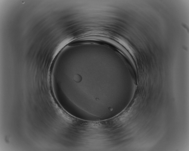 X0000091711050200708311112