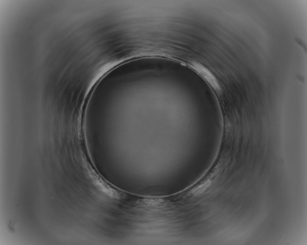 X0000091711052200708311112