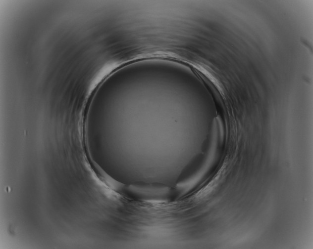 X0000091711054200708311112