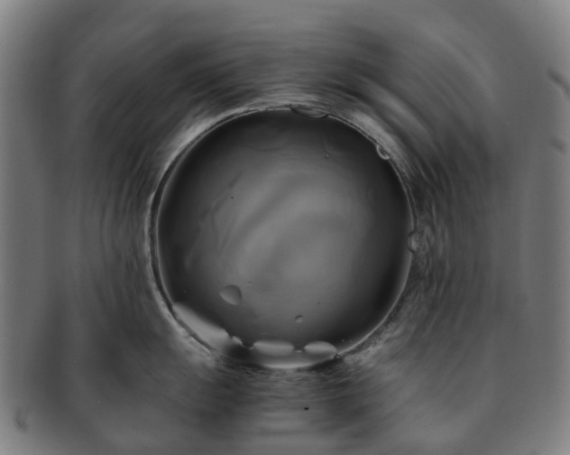 X0000091711055200708311112