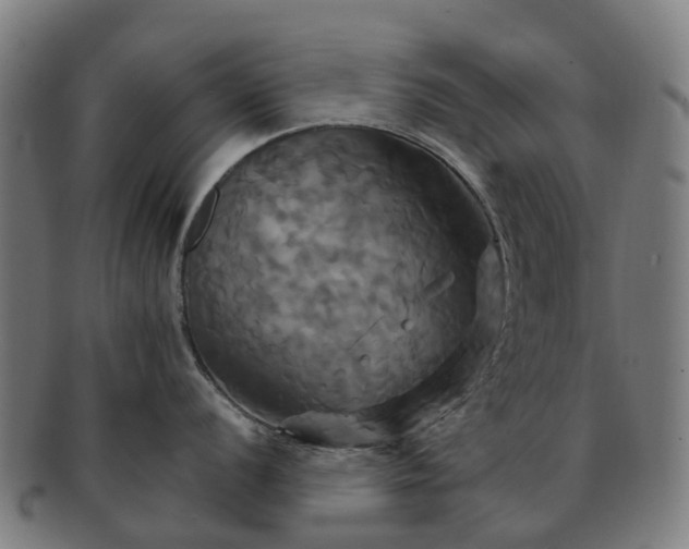 X0000091711056200708311112